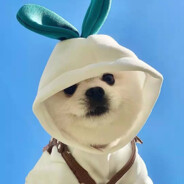 記忆 ゛始終諟过去丶