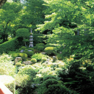 老公你就安心地走吧