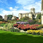 勇敢牛牛 不怕困难