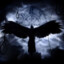 ziad43
