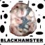 blackhamster