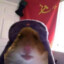 HAMSTER162_helin139