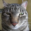 Avatar of player шалунишка