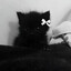Vibir_56