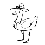Calm Goose