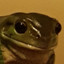 Slippery Frog