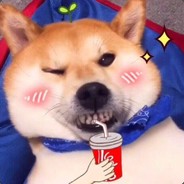 永远的萌新