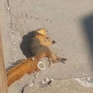 Arresto Domiciliario