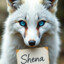 Shena