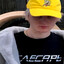 члесарь
