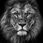 the lion