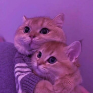 硬杀亲妈纯硬汉