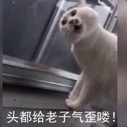 微波炉玩家请出门
