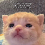 Попузьяна - steam id 76561198272817221