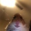 Mamba_GG103
