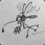 mosquito