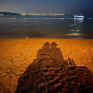 meoww - steam id 76561198360350143