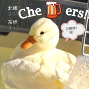 Miss.爱吃柚的猫