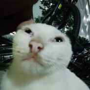 那年18，狙不过壮壮妈