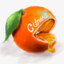 Citrus5763