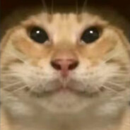 四段－スピノサウルス