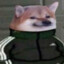 paixths