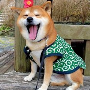 你笑得像条恶犬