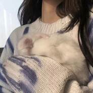 卖女孩的小火柴