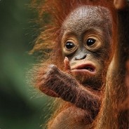 Jerkan90 - steam id 76561197965297223