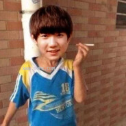 守旧派芙蓉王源