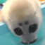 shiiiiiiiiiiiiiiiiiiiiiiiiiiii