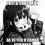я няшка's avatar