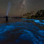 Lucid Dream