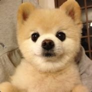 我就强行一换一