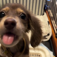 悲伤就大口吃饭