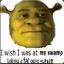 Not Shrek