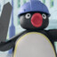 Pingu pedreiro