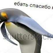 ƮØŁΣᖇÅƝℂΣ