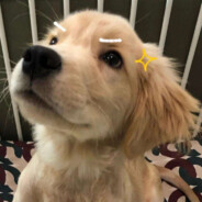 无情突破手阿黑