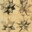 stellated dodecahedrons