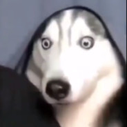 Na1LoNg（恩师：学姐的学