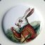 rabbit