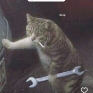 Kortikz avatar