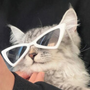 让我再次守护她的微笑