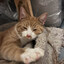 cateater21