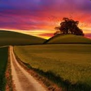 ¡¡︻气◥◣Ʀ҉.I.P҉◢◤デ═