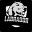 LABRADOR // Chron9