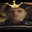 KOTY.FUN WANTAP Steam avatar