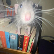 KriskaMarishka190 | PLNC.PP.UA