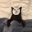 Sofiko